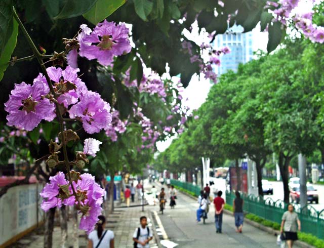 上传的图片