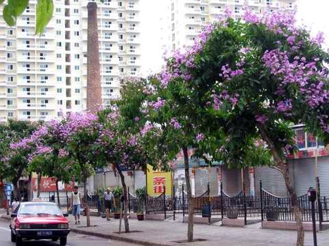 上传的图片