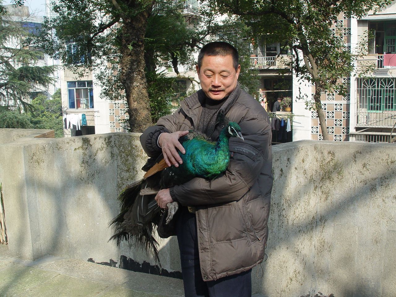 上传的图片