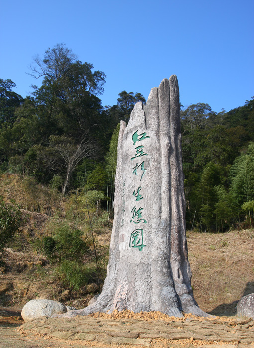 上传的图片