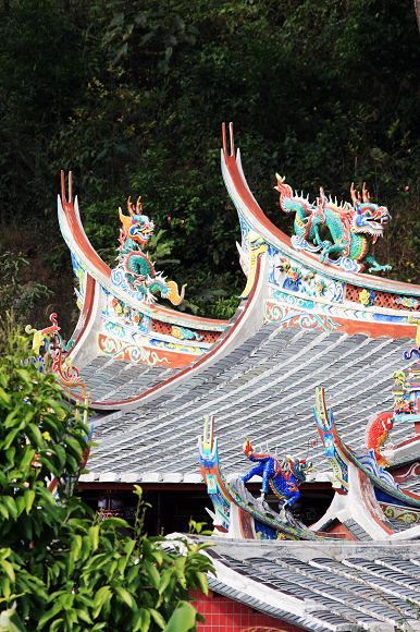 上传的图片