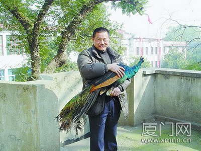 上传的图片
