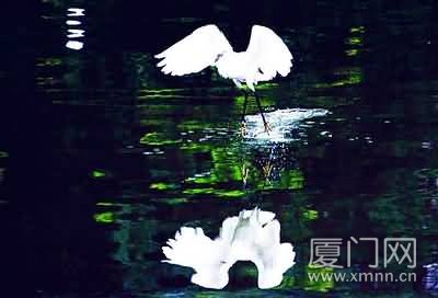 上传的图片