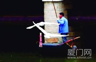 上传的图片
