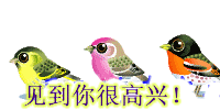 上传的图片