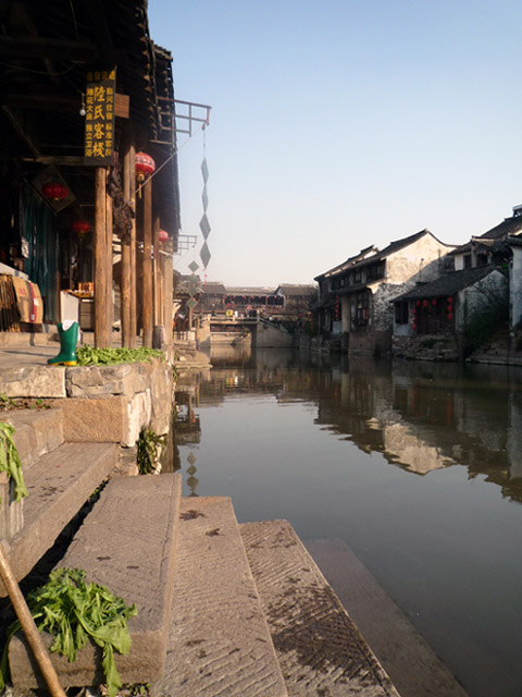 上传的图片