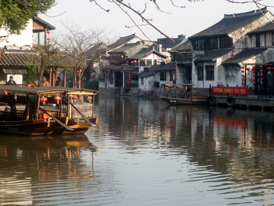 上传的图片