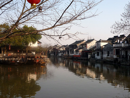 上传的图片