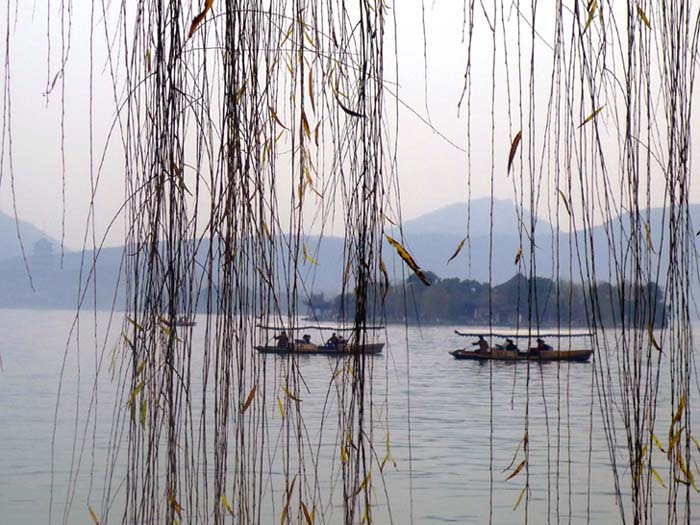 上传的图片