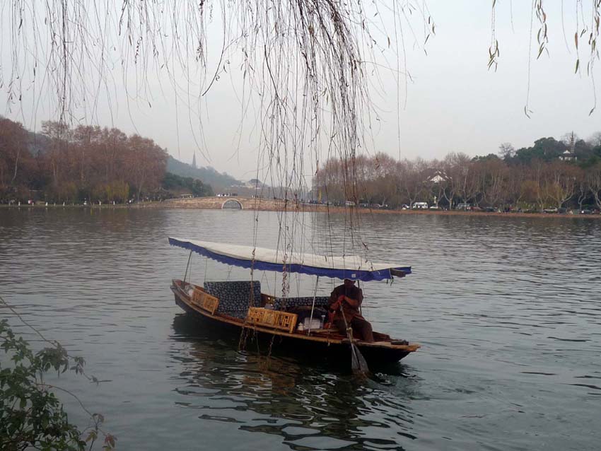 上传的图片