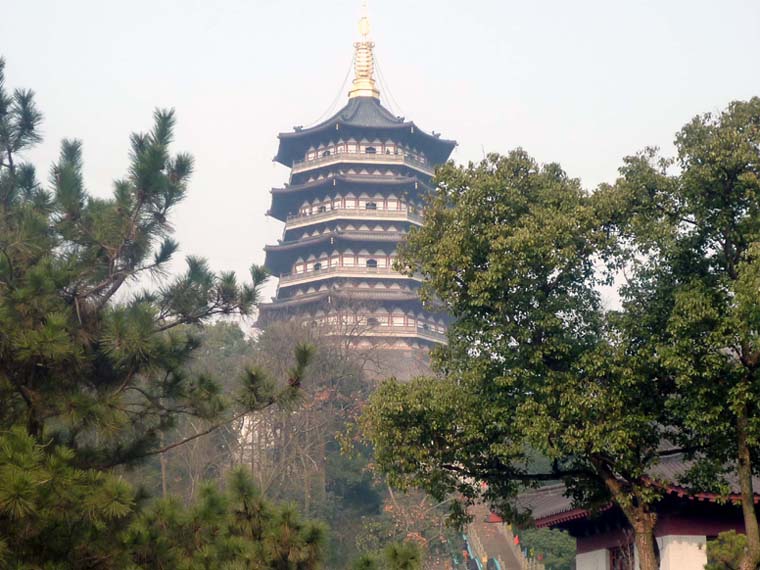 上传的图片