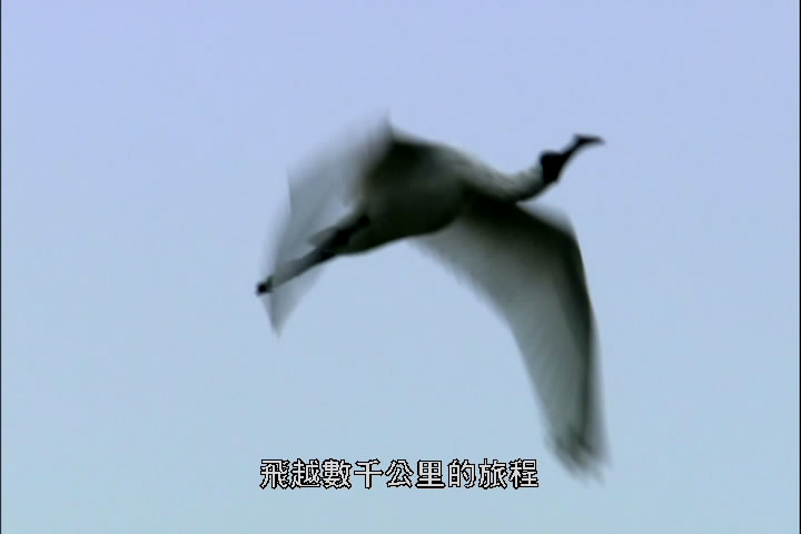 上传的图片