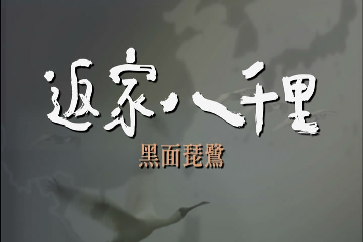上传的图片