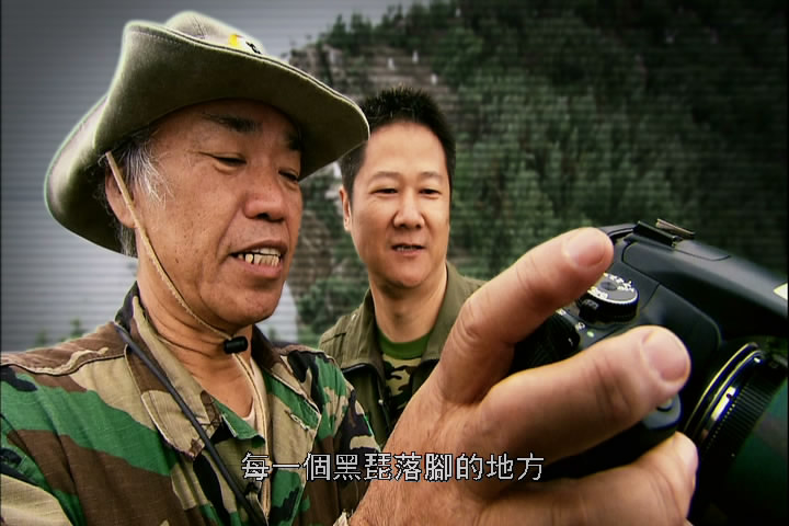 上传的图片