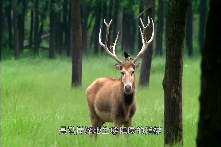 上传的图片