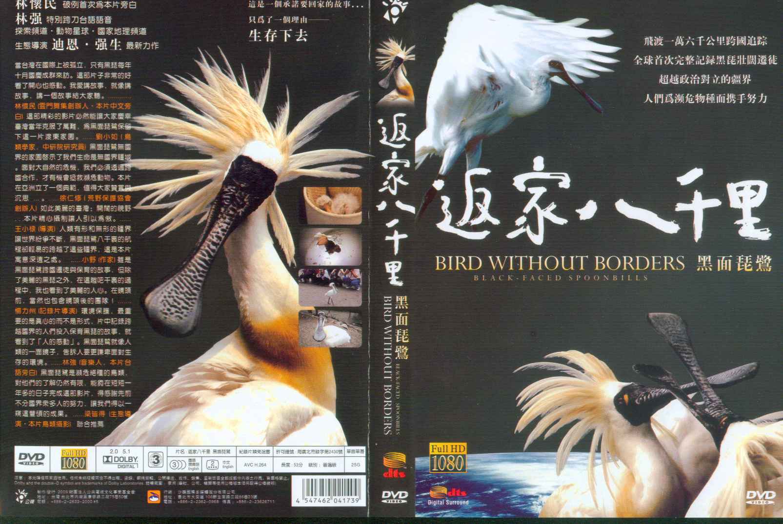 上传的图片