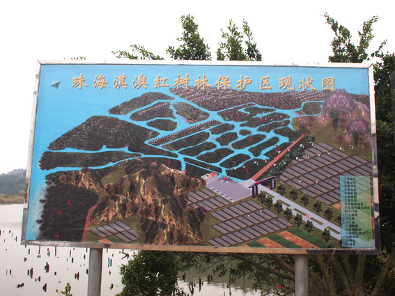 上传的图片