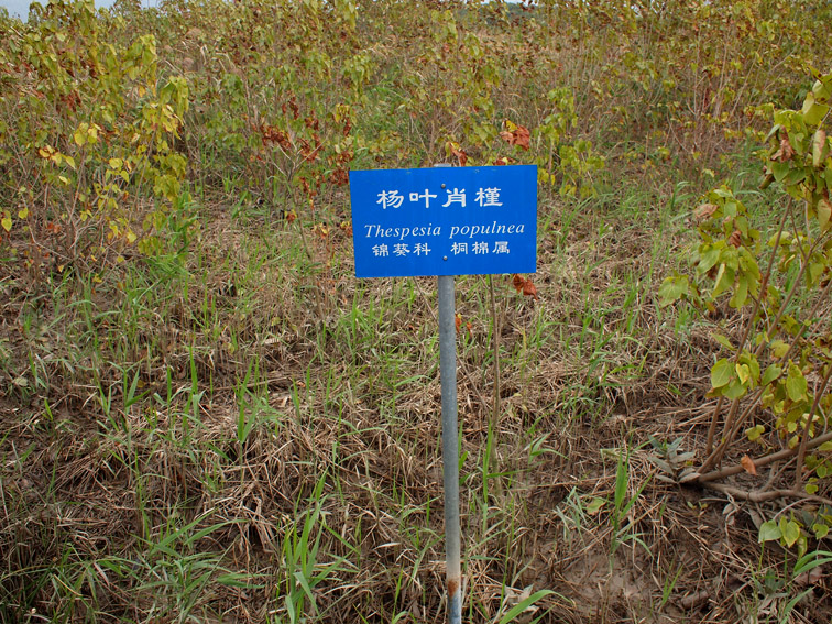 上传的图片