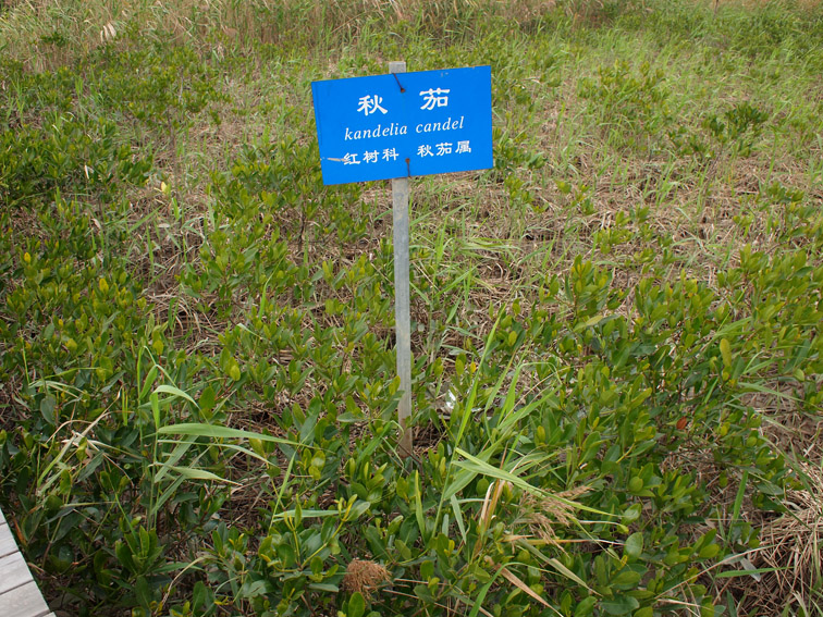 上传的图片