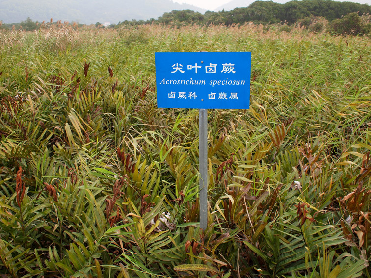 上传的图片