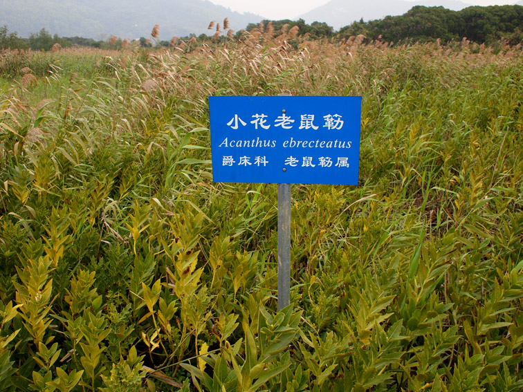 上传的图片