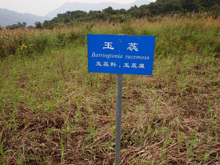 上传的图片