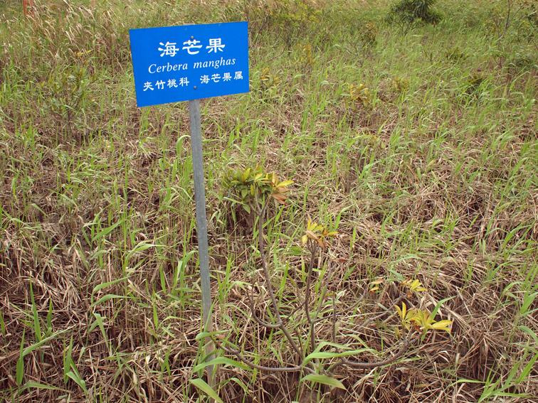 上传的图片