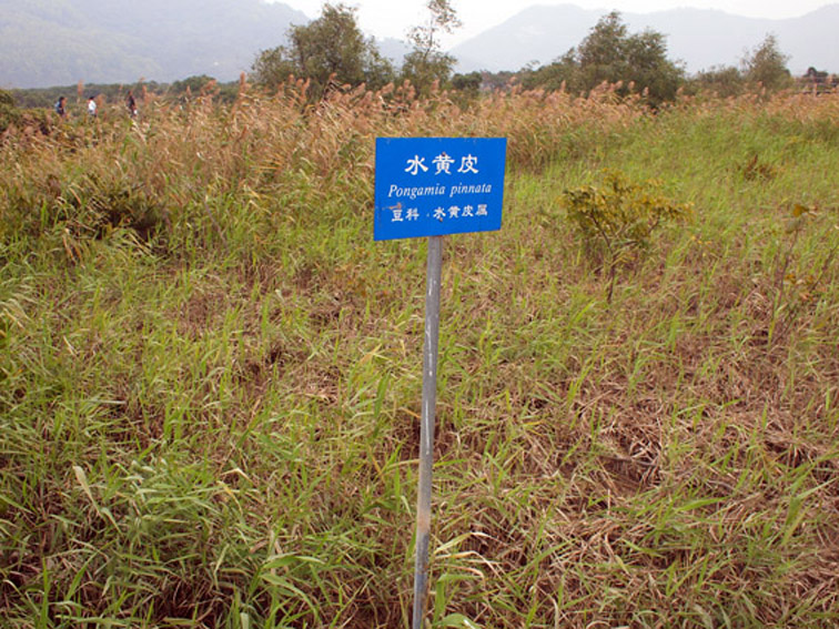 上传的图片