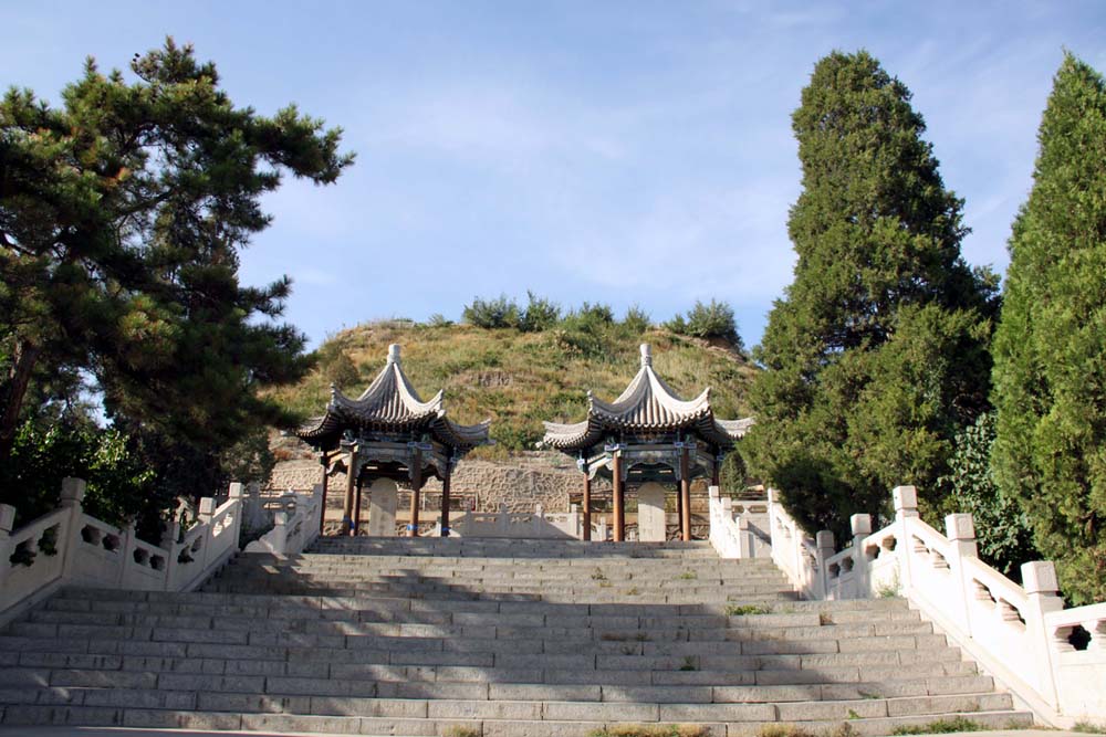 上传的图片