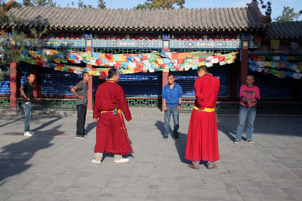 上传的图片