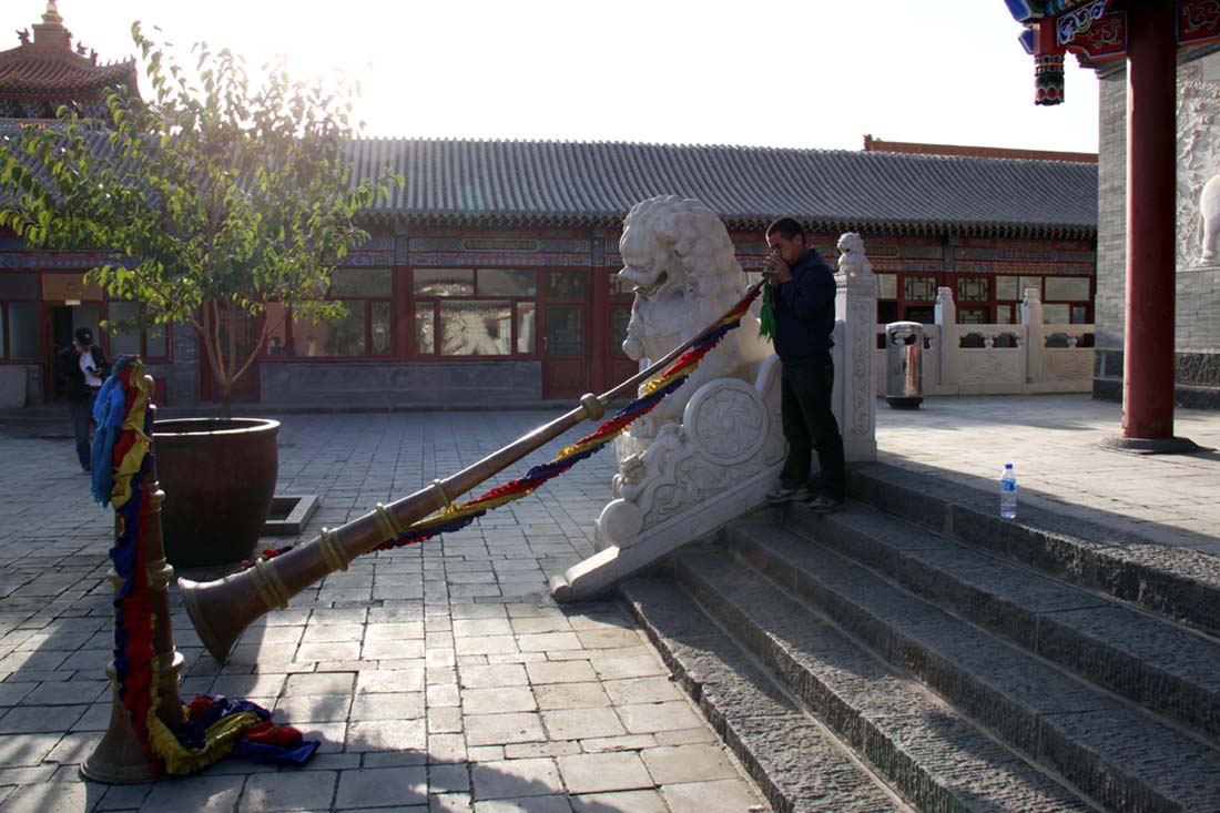 上传的图片