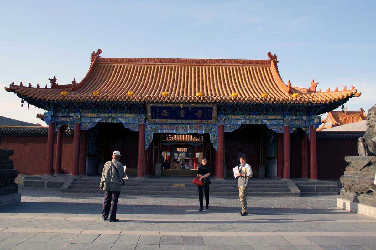 上传的图片