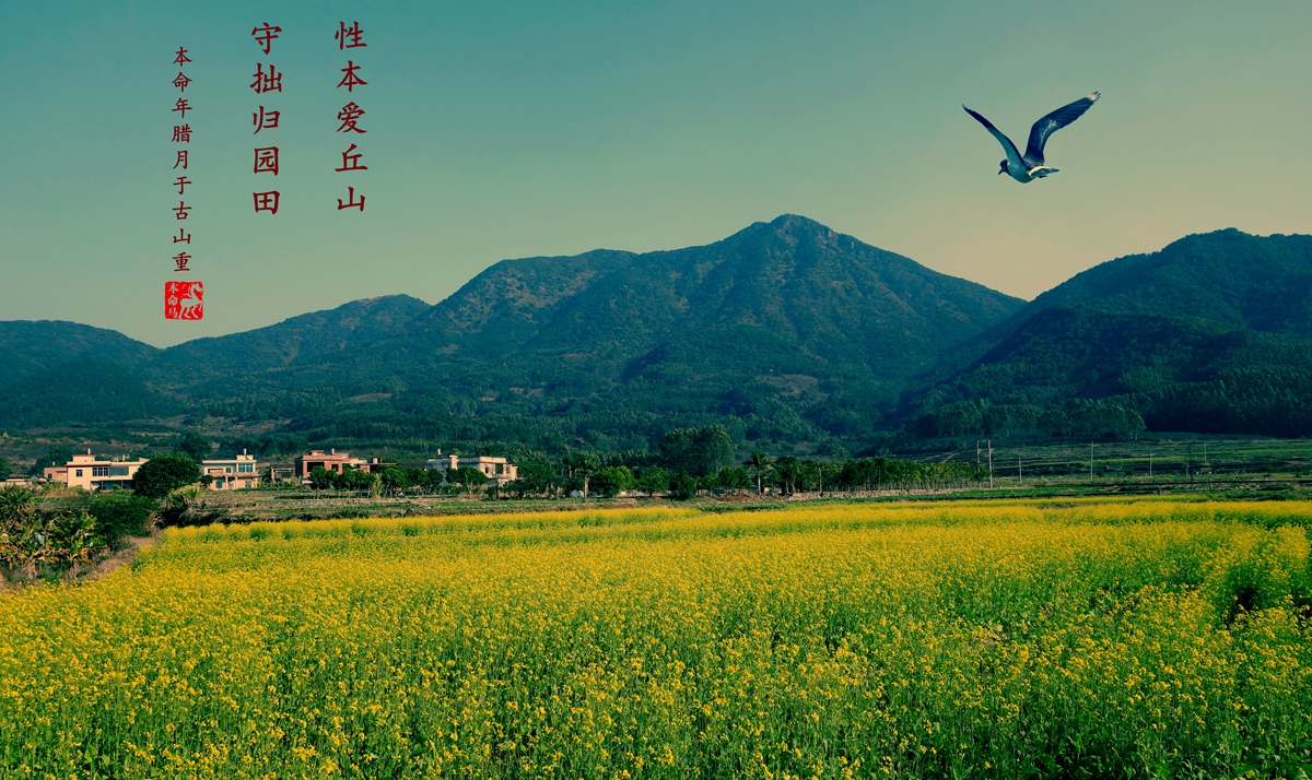 上传的图片