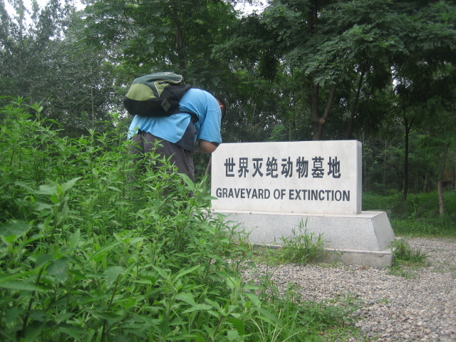 上传的图片