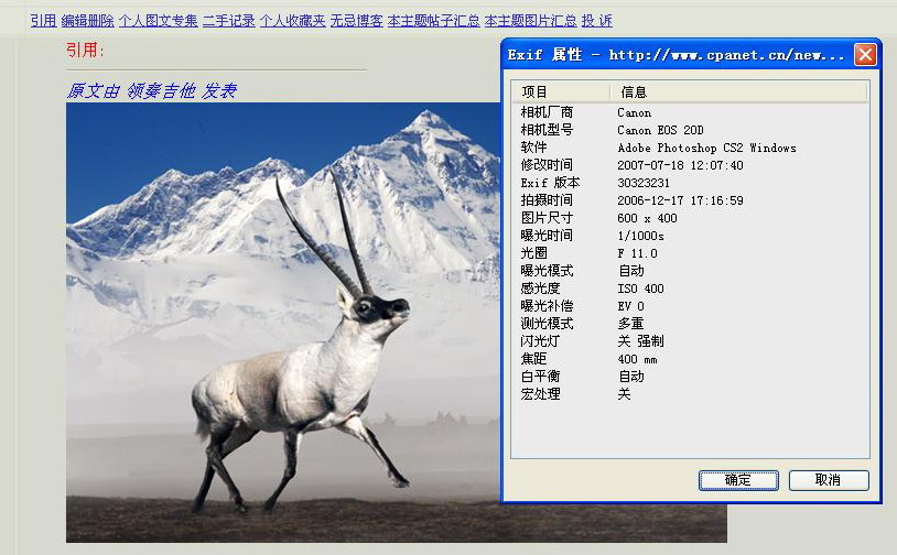 上传的图片
