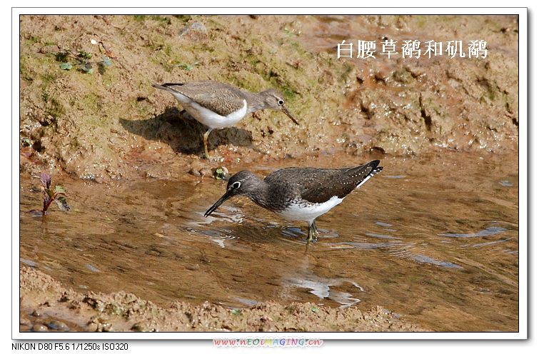 上传的图片