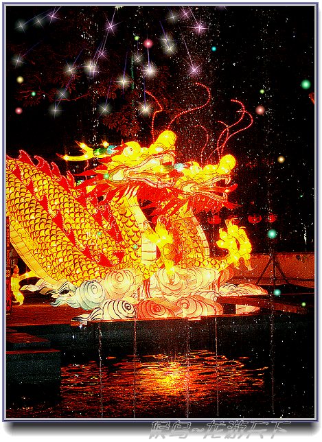 上传的图片