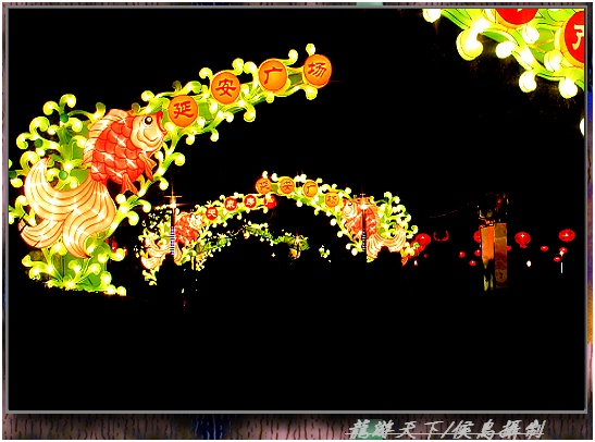 上传的图片