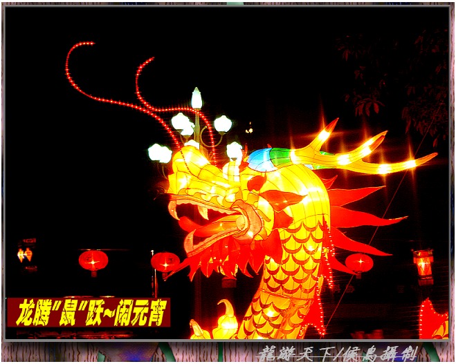 上传的图片