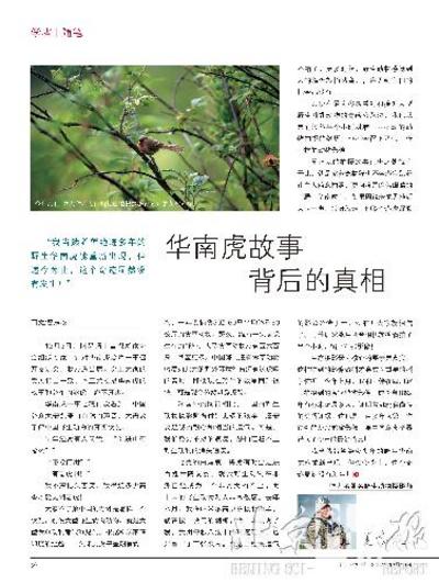 上传的图片