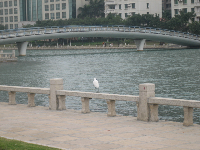 上传的图片