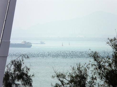 上传的图片