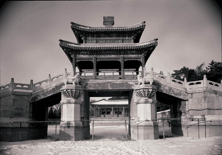 上传的图片