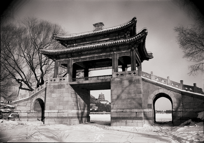 上传的图片