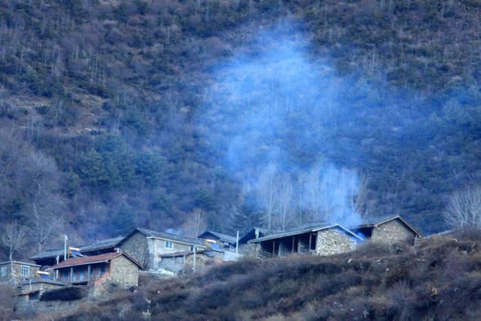 上传的图片