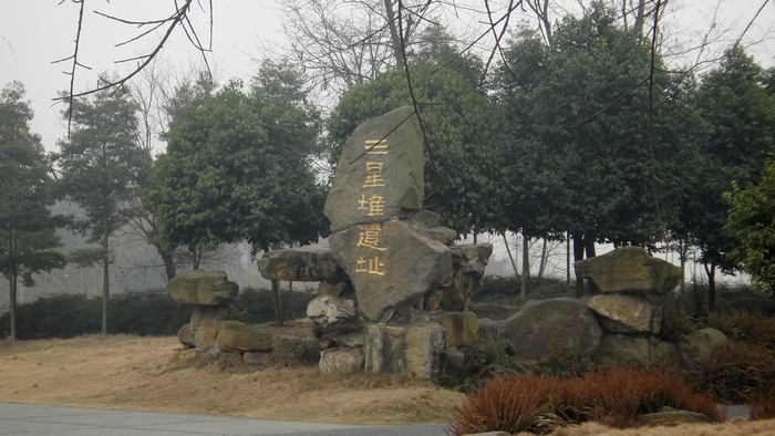 上传的图片