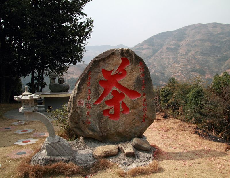 上传的图片