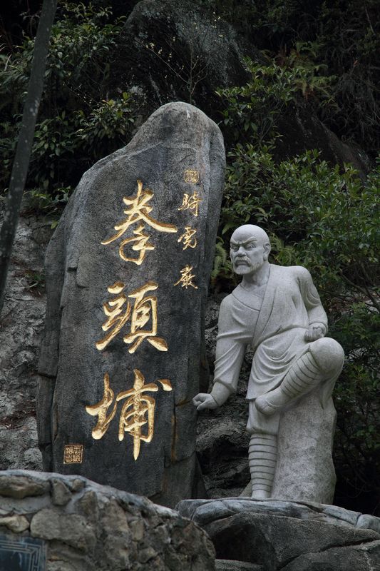 上传的图片
