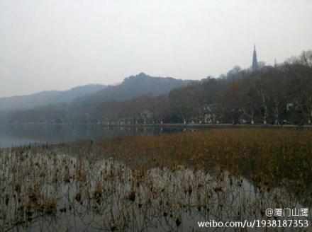 上传的图片