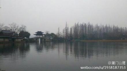 上传的图片
